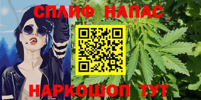 молекула духа Пугачёв