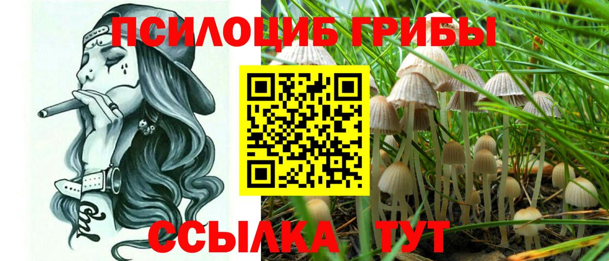 Галлюциногенные грибы прущие грибы  цены наркотик  Саров  Вход с VPN 