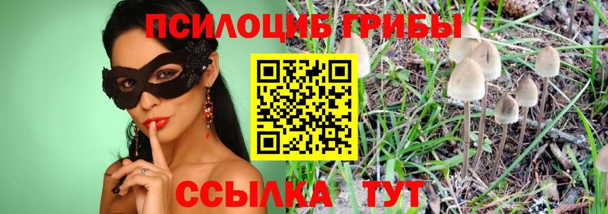Галлюциногенные грибы Magic Shrooms Саров